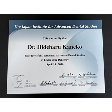 サーティフィケート11